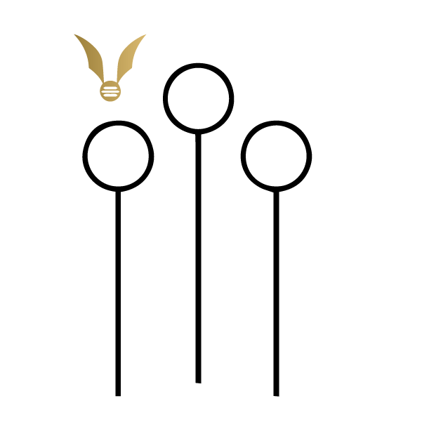 Harry Potter: Quidditch (Black & Gold) - Kromebody