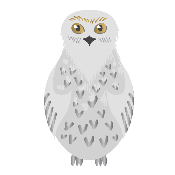 Harry Potter: Hedwig - Kromebody