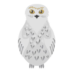 Harry Potter: Hedwig - Kromebody