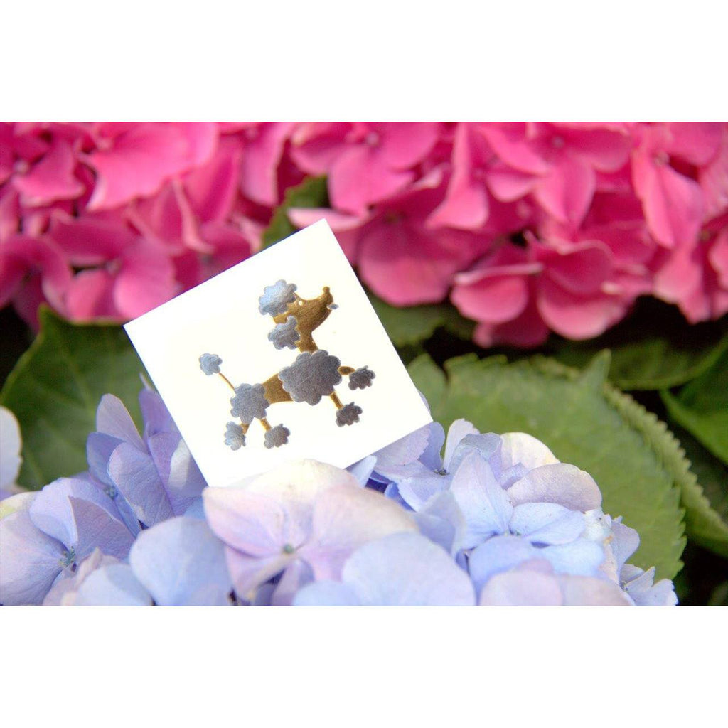 Happy Poodle - Kromebody