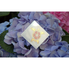 Aloha Turtle - Kromebody