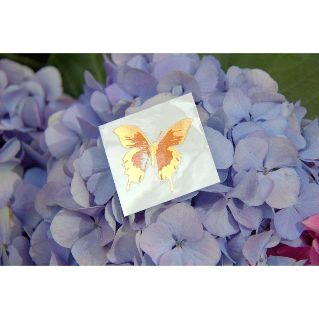 Orange Butterfly - Kromebody