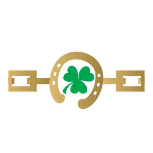 Lucky Horseshoe Bracelet - Kromebody