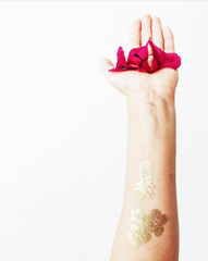 Pineapple - Kromebody