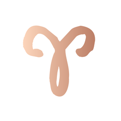 Aries in Rose Gold - Kromebody