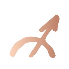 Sagittarius in Rose Gold - Kromebody