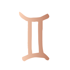 Gemini in Rose Gold - Kromebody