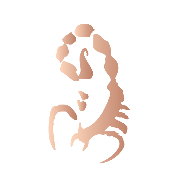 Scorpio in Rose Gold - Kromebody