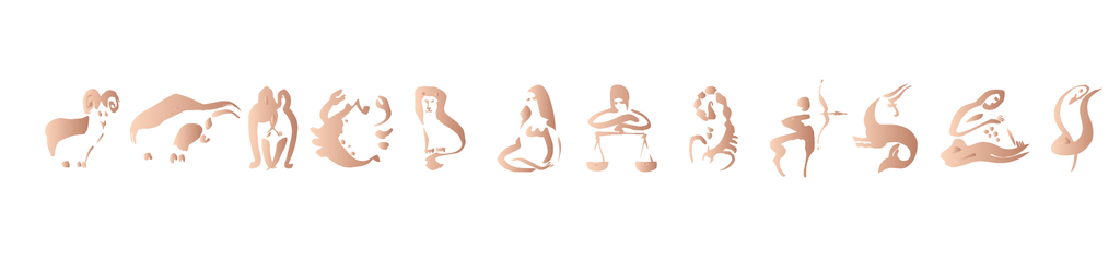 Zodiac Signs Bracelet in Rose Gold - Kromebody