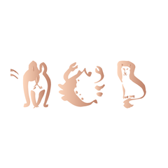 Zodiac Signs Bracelet in Rose Gold - Kromebody