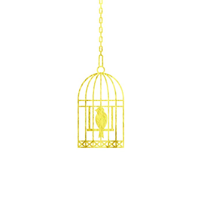 Bird Cage - Kromebody