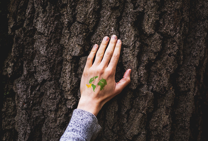 Think Green - Kromebody