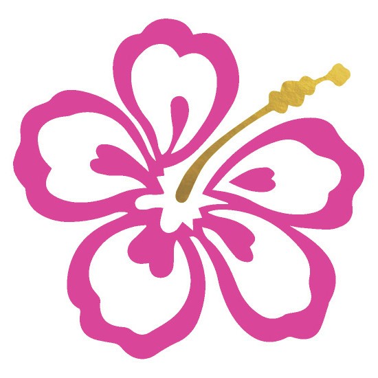 Hibiscus Flower - Kromebody