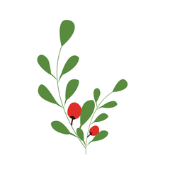 Mistletoe Leaf - Kromebody