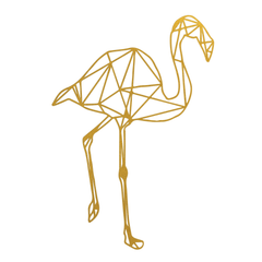 Flamingo - Kromebody