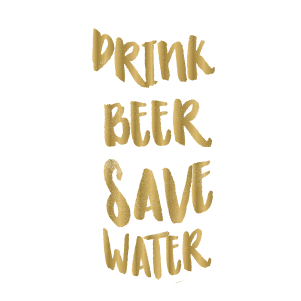 Drink beer save water - Kromebody