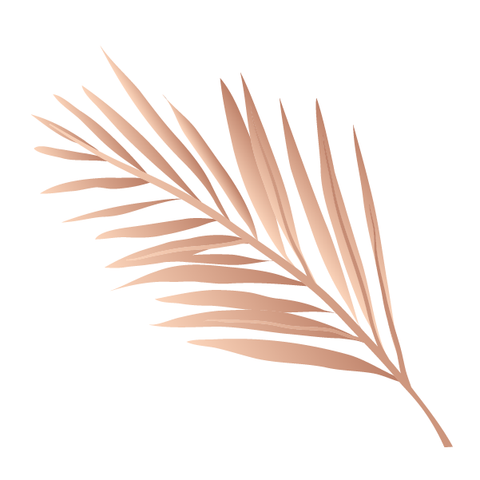 Palm leaf - Kromebody
