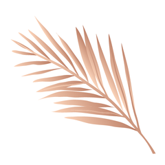 Palm leaf - Kromebody