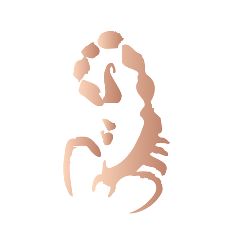 Scorpio in Rose Gold - Kromebody