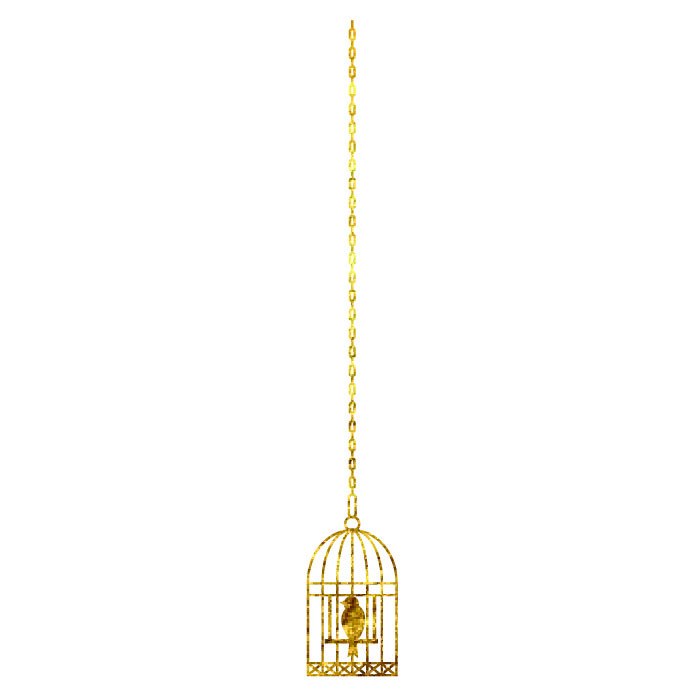 Bird Cage - Kromebody