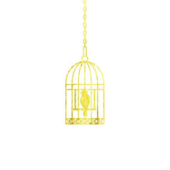 Bird Cage - Kromebody