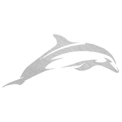 Silver Dolphin - Kromebody
