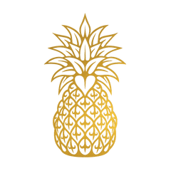 Pineapple - Kromebody